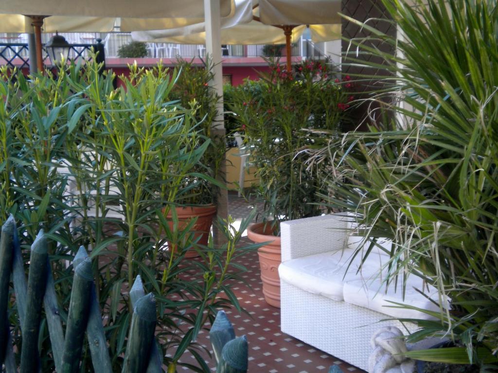 Hotel Nova Dhely ريميني المظهر الخارجي الصورة