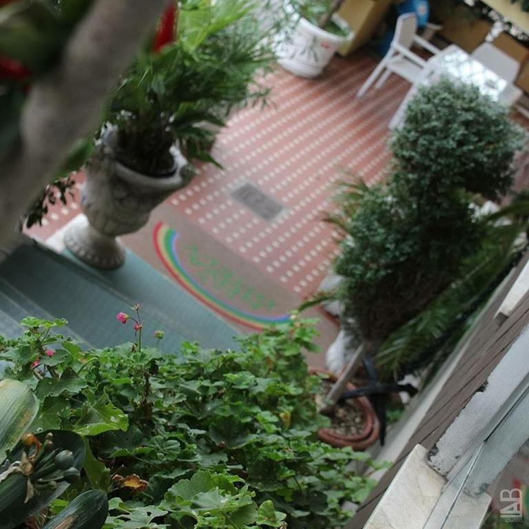Hotel Nova Dhely ريميني المظهر الخارجي الصورة